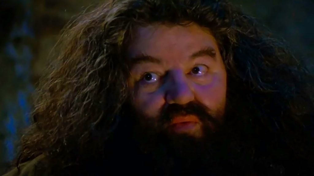 Hagrids verborgenes Potenzial in Fan-Theorie enthüllt