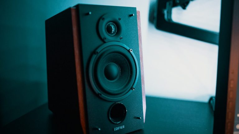 2 way bookshelve speaker